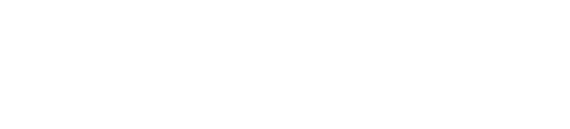 null logo